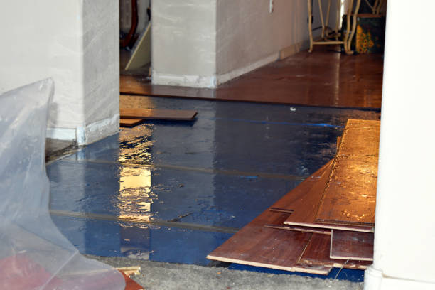 Professional Basement Flood Cleanup technician working in Farnhamville, IA